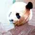 profile image of Hugo de Paula
