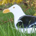 profile image of Rita Baarsgaard Hansen
