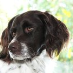 profile image of Ejgil Gaardbo Thomsen