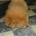 profile image of Leon B.