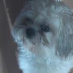 profile image of Doreen Marschall