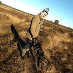 profile image of Andrew Smith