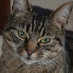profile image of Jennifer Mordue