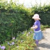 profile image of Betina Toft