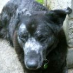 profile image of Angela Hopton