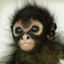 profile image of Rob Greenhalgh