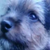 profile image of Linda Lolly Mctaggart