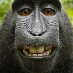 profile image of Mark Hunt