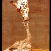 profile image of Rud Bjerg Hansen