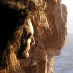 profile image of Jules Newgrosh