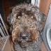 profile image of Dudley Tatham