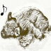 profile image of Kom Obs