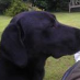 profile image of Paul White