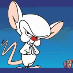 profile image of Thomas Hald