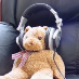 profile image of Stephen