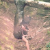 profile image of Kraigyb Ɔic