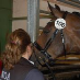profile image of Kristine de Lichtenberg