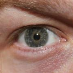profile image of Shane T-Rex Weeks