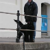 profile image of Steve Barnard