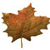 profile image of Anita Northcott
