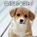 profile image of โหด หื่น ไร้เทียมทาน