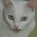 profile image of Sophia Hamid