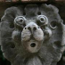 profile image of Tim Harwood