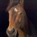 profile image of Kathy Eberhard