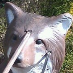profile image of Casper 