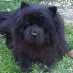 profile image of Terri Cabby Allain
