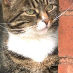 profile image of Robert Clayton
