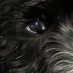 profile image of Sharon Ley