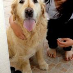 profile image of Sabrina Vong