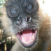 profile image of Lance Challinor