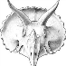 profile image of Idd Fossils