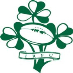 profile image of David Walsh