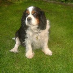 profile image of Jean Carr