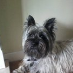 profile image of Ellie Copeland