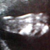 profile image of Kristy 'Proud Mummy' Jarvis