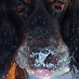 profile image of Teresa Watts