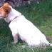 profile image of Joanne Tiffany
