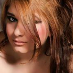 profile image of Persian Kat
