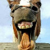 profile image of Ben Farrington