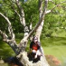 profile image of Isabella Lefay