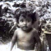 Nazaruddin Mohamad Samin