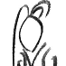 profile image of Nicola Saye