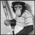 profile image of Roger Duncan