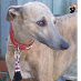 profile image of Fran Trudgian