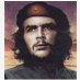 profile image of Tamerat Assefa