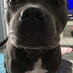 profile image of Donna Crofts
